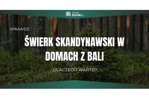 Świerk skandynawski w domach z bali - dlaczego warto?